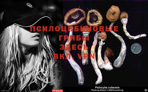 скорость Володарск