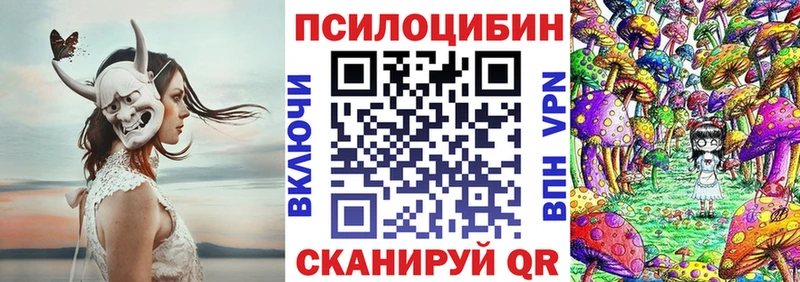 shop наркотические препараты  Ноябрьск  Галлюциногенные грибы Psilocybe  хочу  